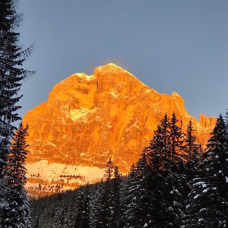 Daniela Apartment Cortina dʼAmpezzo Zewnętrze zdjęcie
